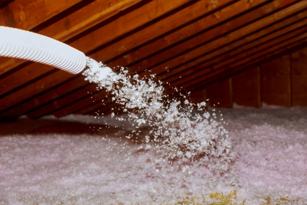 Best Commercial Insulation in Von Ormy, TX