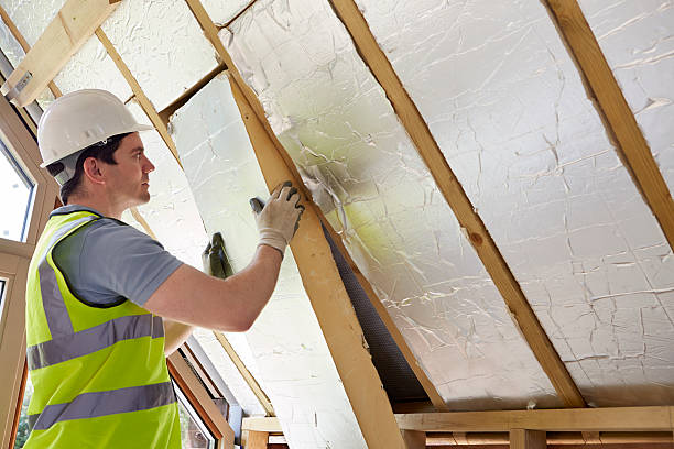Best Residential Insulation in Von Ormy, TX