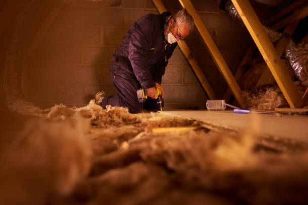 Best Energy Efficiency Solutions in Von Ormy, TX